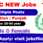 Punjab-Public-Service-Commission-PPSC-Jobs-2025