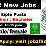 Sindh Public Service Commission Latest Jobs 2025