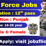 PERA Force Jobs 2026 for Driver with 500 secure government vacancies in Punjab